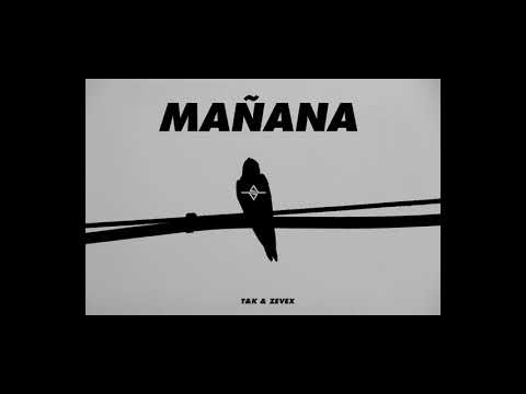 ZEVEX | T&K /// MAÑANA