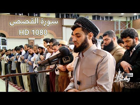 Ø³ÙˆØ±Ø© Ø§Ù„Ù‚ØµØµ ÙƒØ§Ù…Ù„Ø© by Raad Muhammad Al Kurdi