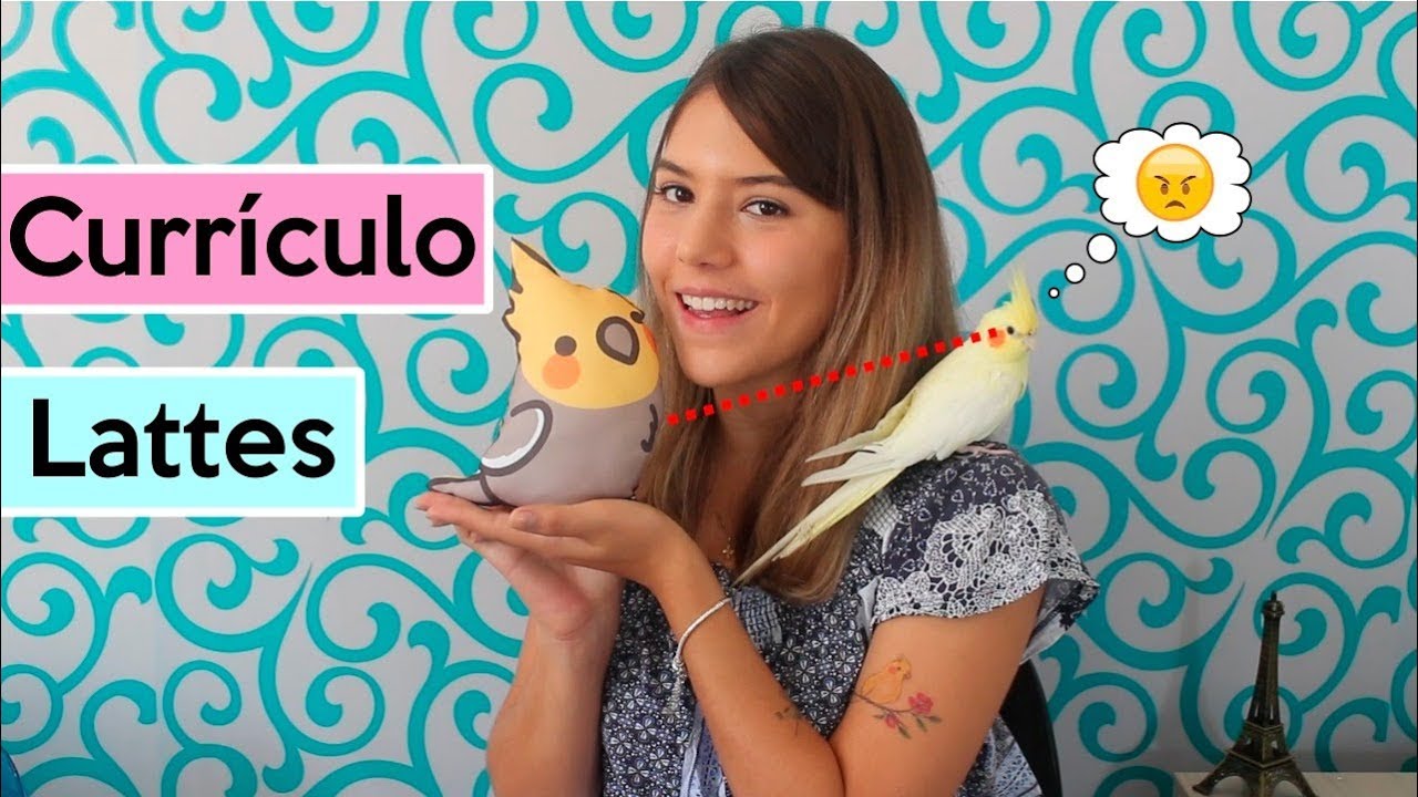 Como fazer e atualizar o currículo lattes? I Você só dá aula?