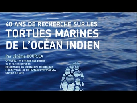 Planète Conférences - 40 ans de recherche sur les tortues marines de l'océan Indien