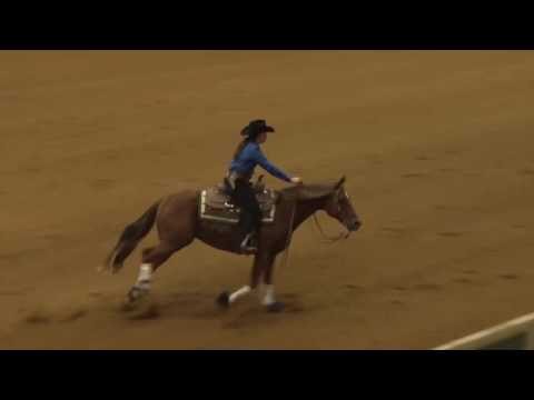 161030 Tabitha Gordon on Whats Dream Open