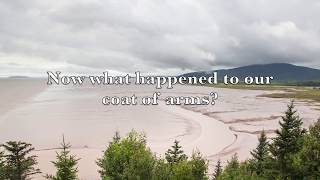 Clap Your Hands Say Yeah - Heavy Metal (with Lyrics)