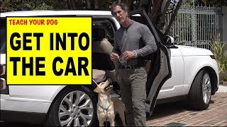 Teach Your Dog to Get into the CAR - Dog Training Video