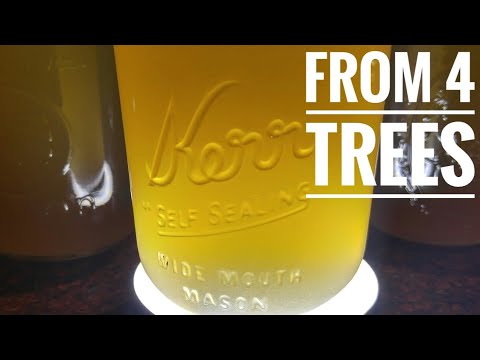 1st Annual - Maple Syrup Processing