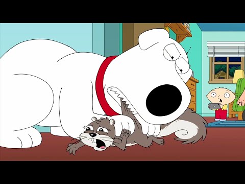 Brian Kills A Squirrel - Family Guy 19x03