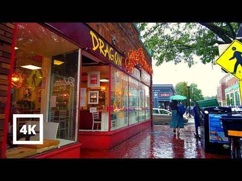 4K Walking in Rain - Boston - Davis Square Somerville - Dragon Pizza Barstool Sports Heavy Rainstorm