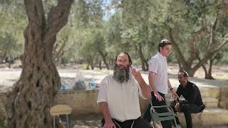 חזון • מעלתם של העולים להר ביום י׳ אב | הרב מאיר גולדמינץ (ישיבת הר הבית) - התמונה מוצגת ישירות מתוך אתר האינטרנט יוטיוב. זכויות היוצרים בתמונה שייכות ליוצרה. קישור קרדיט למקור התוכן נמצא בתוך דף הסרטון