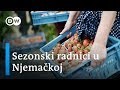 Sezonski Radnici Kao Jeftina Radna Snaga