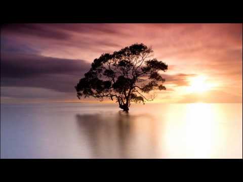 Federico Monachesi - Into The Dreams (Original Mix)