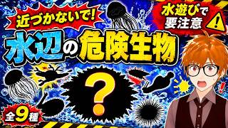 近づくな！水辺の危険生物💀全9種👹鬼から電話 水遊びで要注意