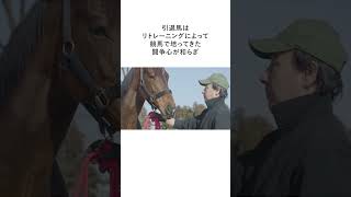 【セカンドキャリウマ】　再就職訓練馬・プラダリア編　～雑学～