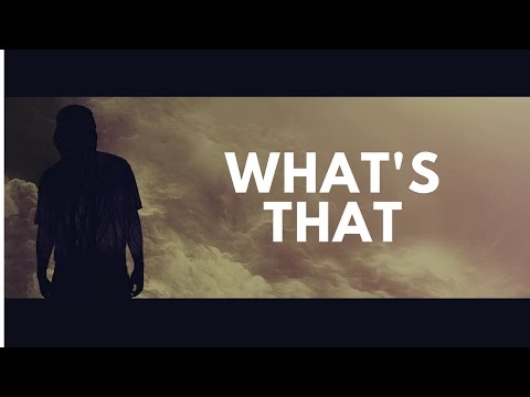 Şanışer ft. Bela - What's That