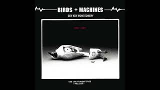 Gen Ken Montgomery – Birds + Machines (2010)