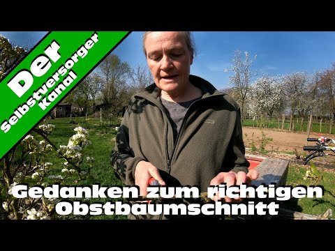 Thoughts on proper fruit tree pruning from the expert