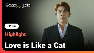 Mew takes off his shirt in Thai-Korean BL Love is Like a Cat 😍😺