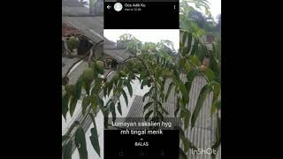 Download lagu #foto keluarga di kampung# mp3 Download lagu #foto keluarga di kampung# mp3