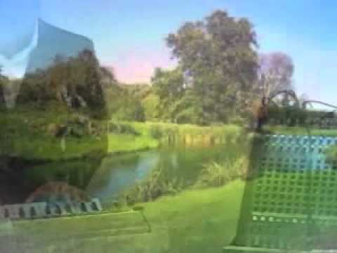 Fabian Solano con Lupita, Marce y Milton tocando el ave maria