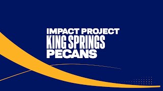 IMPACT Project - King Springs Pecans