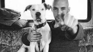 Moby - DOG
