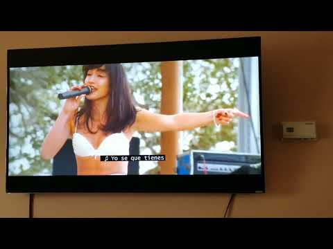 Selena-como la flor(from the movie)