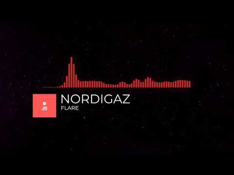 NORDIGAZ - FLARE