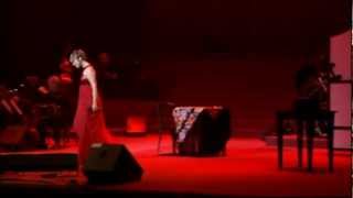 Video Y Sin Embargo Te Quiero de Pasión Vega