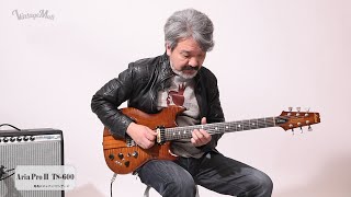 Video thumbnail for Aria Pro II / TS-600〜feat.稲葉政裕【デジマート 魅惑のジャパン・ビンテージ Vol.7】 by digimartnet