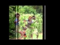 Your Joy - Josh Fox 