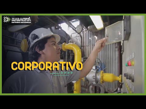 Trabajadores - Sudamericana de Fibras