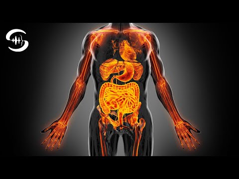 Rife Allheil-Frequenz (800 Hz isochrone Beats) - Universal Heilfrequenz ♫86