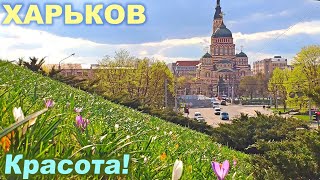 Соборный спуск и террасный сквер ▶ Весенний Харьков