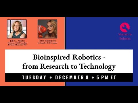 Bioinspired Robotics - from Research to Technology