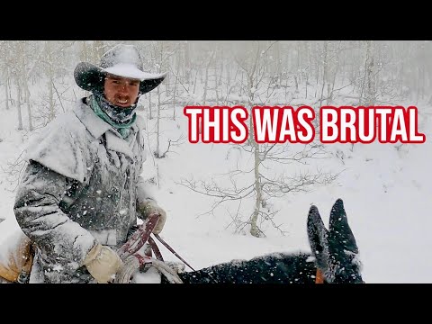 600 Miles on Mules—My Biggest Project Ever! (Mule Train Trailer)