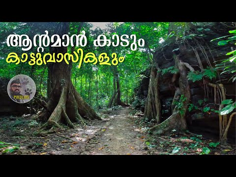 Story of Tribals in Andaman Island and Forest | Scuba in North bay and Limestone Cave