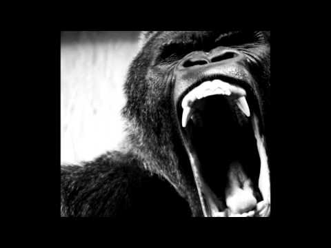 Ape Shifter - Ape Shifter (Full Album 2017)