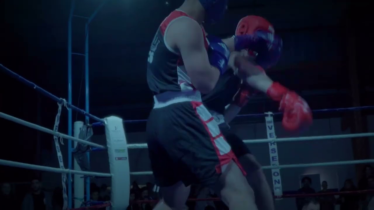 GALA NOBLE ART COURONNAIS ELYAS AURA FARMER