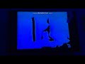 Classic Sesame Street Animation Sand F F