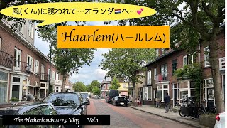 【Netherlands2025】vol.1 古都ハールレムを散策❣️風くんに誘われてオランダ🇳🇱周遊。ハールレムは歴史があり、とても趣きのある素敵な街でしたぁ〜💕