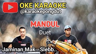 Download lagu MANDUL - KARAOKE PONGDUT mp3