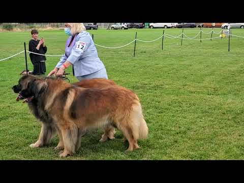 Skaha show 5 Sept 2021 Brace.  Terrie, Marlene and Fran
