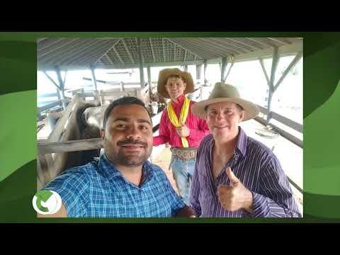 RONDÔNIA: FAZENDA EM CACAULÂNDIA É DESTAQUE NA RECRIA E ENGORDA DE NOVILHAS; VEJA DETALHES