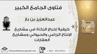 صورة كيفية إخراج الزكاة في مشاريع الإنتاج الزراعي والحيواني ومشاريع العقارات مشروع كبار العلماء