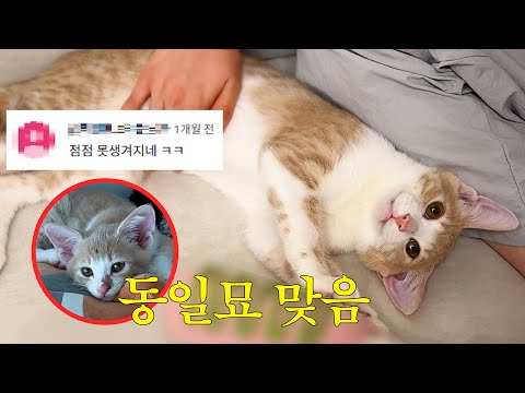 To. 얘 못생겼다고 악플 달았던 사람들