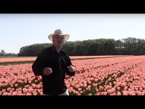 Volkszanger Tony Light zingt: Carousel Wals (Officiële Muziek Video) puur Nederlands