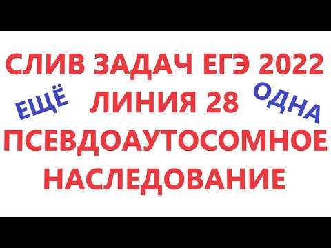 ЕЩЕ ОДИН СЛИВ задач ЕГЭ 2022 по биологии. Линия 28. Псевдоаутосомное наследование