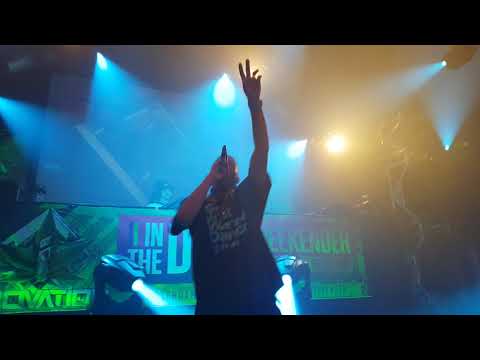 Serum + Inja @ Innovation in the Dam 2018