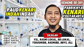 Download lagu PAUD KENARI Review‼️BEAUTIFUL POSTURES VARIOUS CROSSBREEDS... mp3