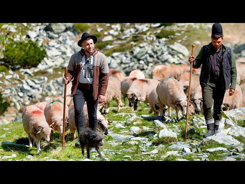 Andrei Calotă - Trecui vârful la Custură