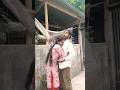 Mujhe Doctor Banna Hai Injection Doctor Doctordoctor Comedy Funny Shorts
