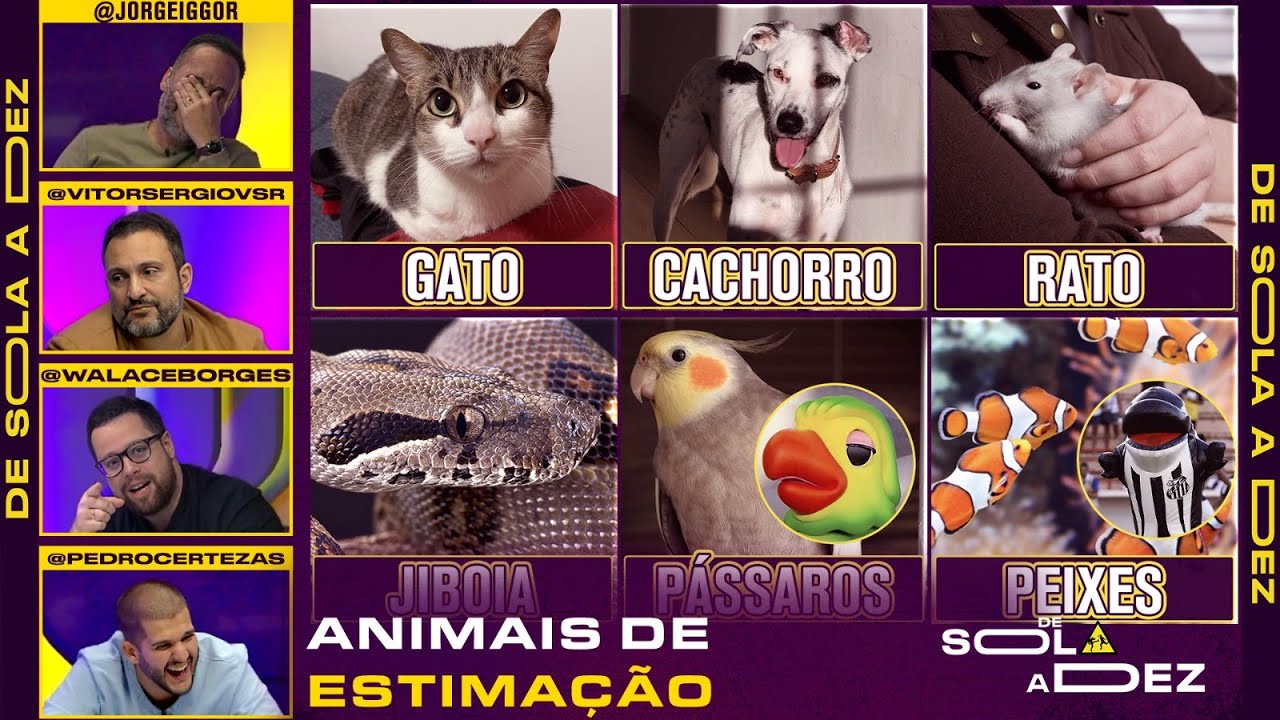 QUAL É O MELHOR E O PIOR ANIMAL DE ESTIMAÇÃO? CRAVAMOS! | DE SOLA A DEZ